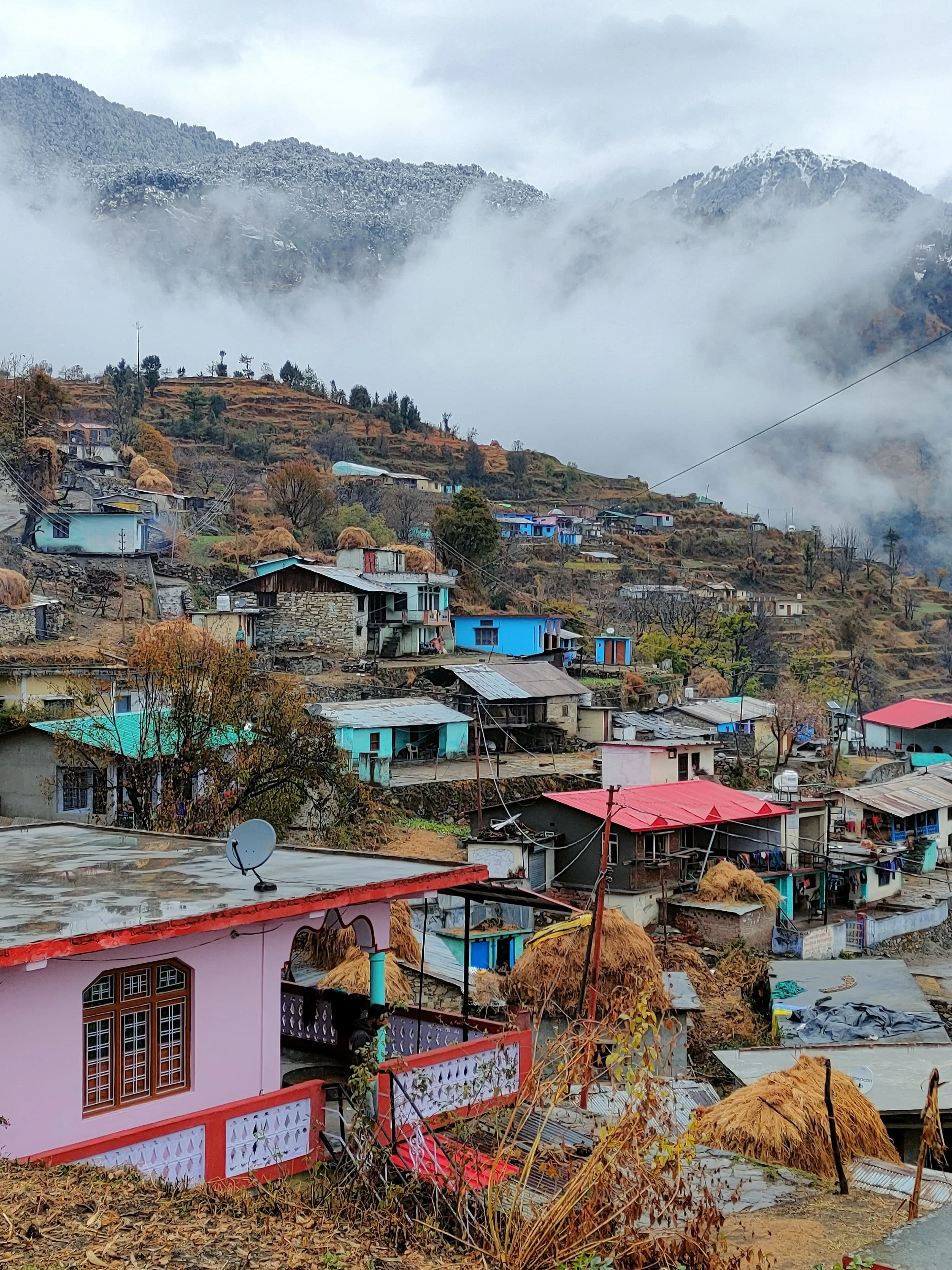 Village Life image 1